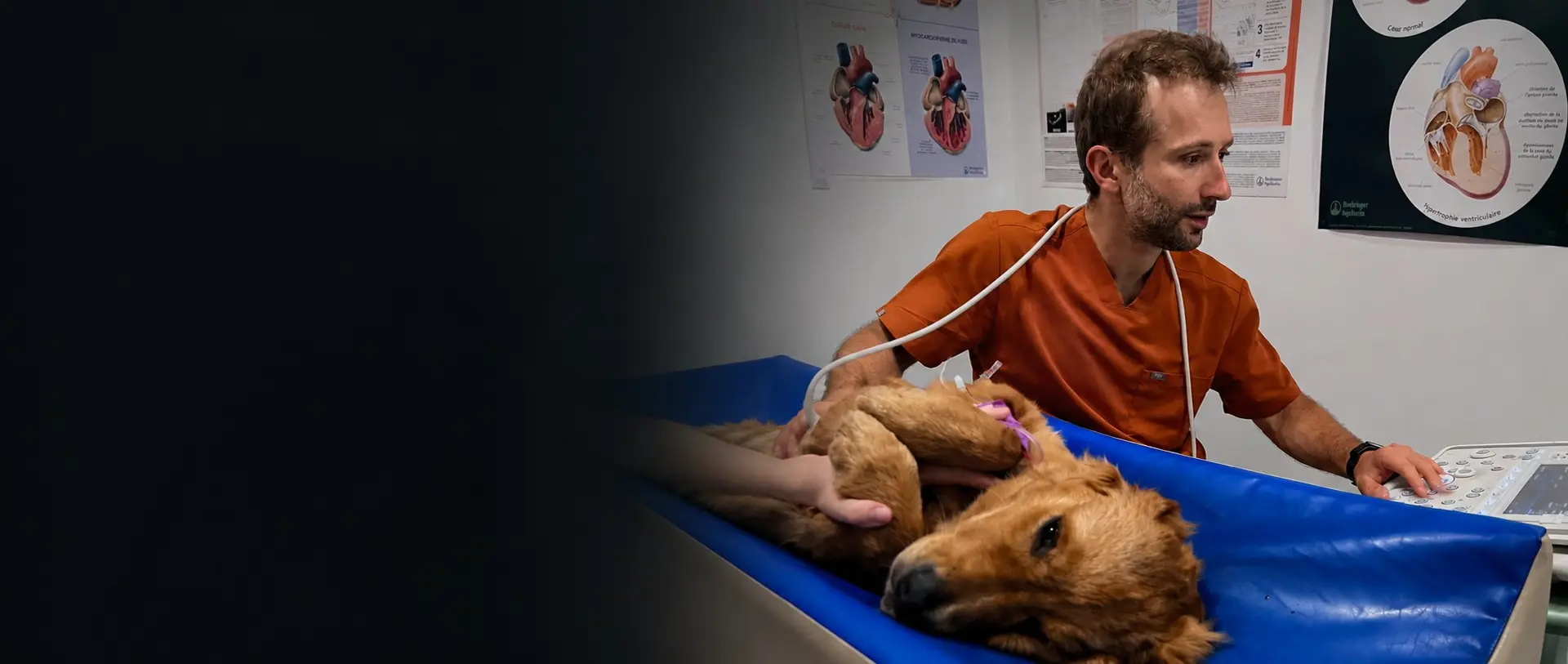 Le DrVet Mongin réalise une échographie sur un chien couché sur le côté, calme, maintenu par son propriétaire